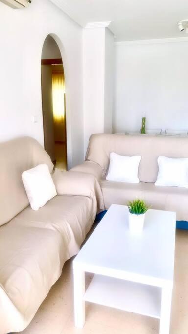 Apartamento - Playa El Campello Urbanizacion Jardin Del Mar Extérieur photo
